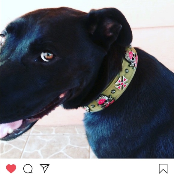 Meet your Posher, Inniss - Picture 1 of 1